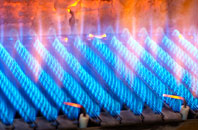 Redmain gas fired boilers